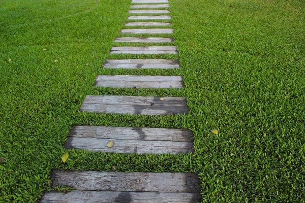Lawn Care: Mowing & Trimming