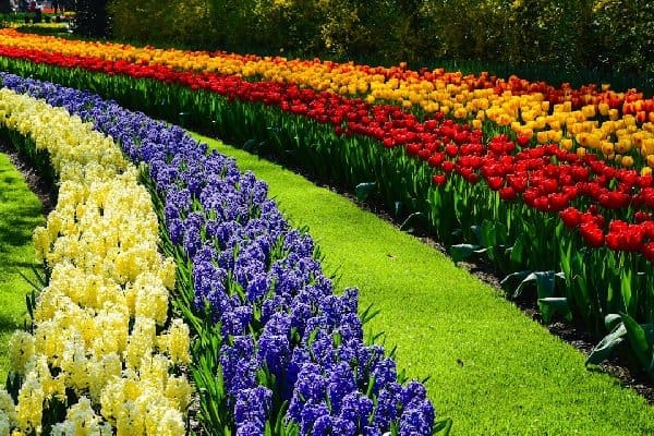 Lawn Care: Fertilization