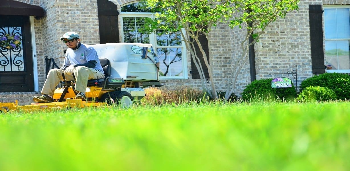 Lawn Care and Maintenance Services in Hillsboro, Oregon
