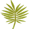 WPO Image
