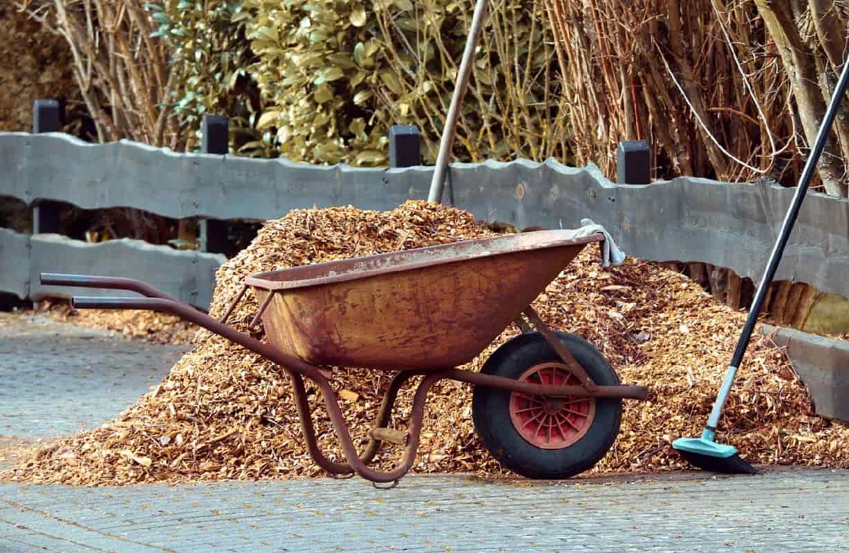 Lawn Care and Maintenance Services in Hillsboro, OR