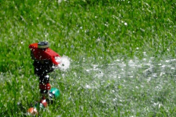Lawn Care: Irrigation System Maintenance