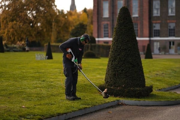 Lawn Care: Weed Control