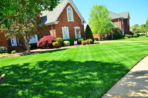 Lawn Care: Mowing & Trimming