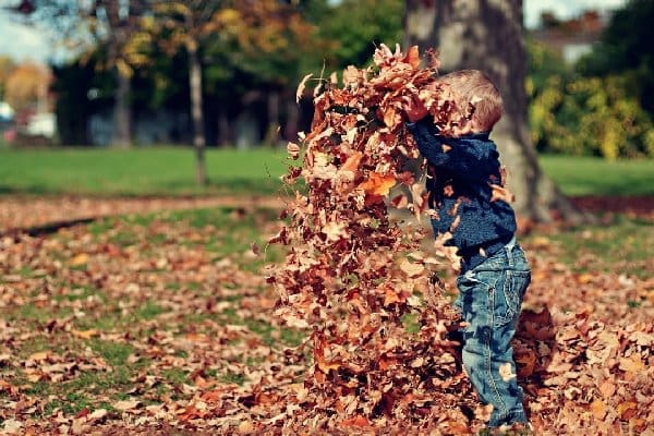 Lawn Care: Leaf Removal (Seasonal Clean-Up)
