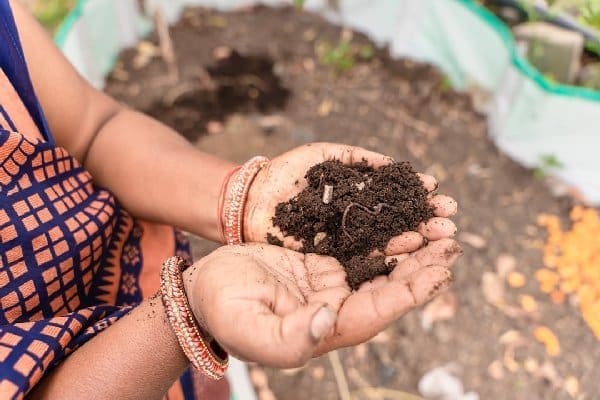 Lawn Care: Soil Testing